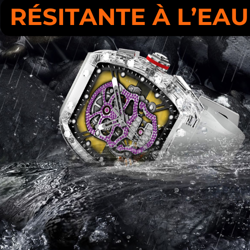 WS-6 montre connectée